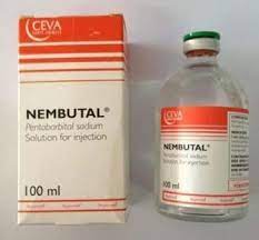 Buy Nembutal Oral Solution Within Australia 
